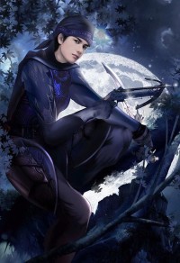独断大明